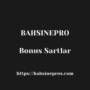 Bahsinepro Bonus Sartlar
